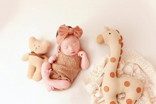 吉林宝宝虾的做法 吉林宝宝虾的做法