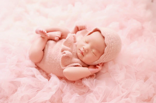 吉林8个月宝宝辅食